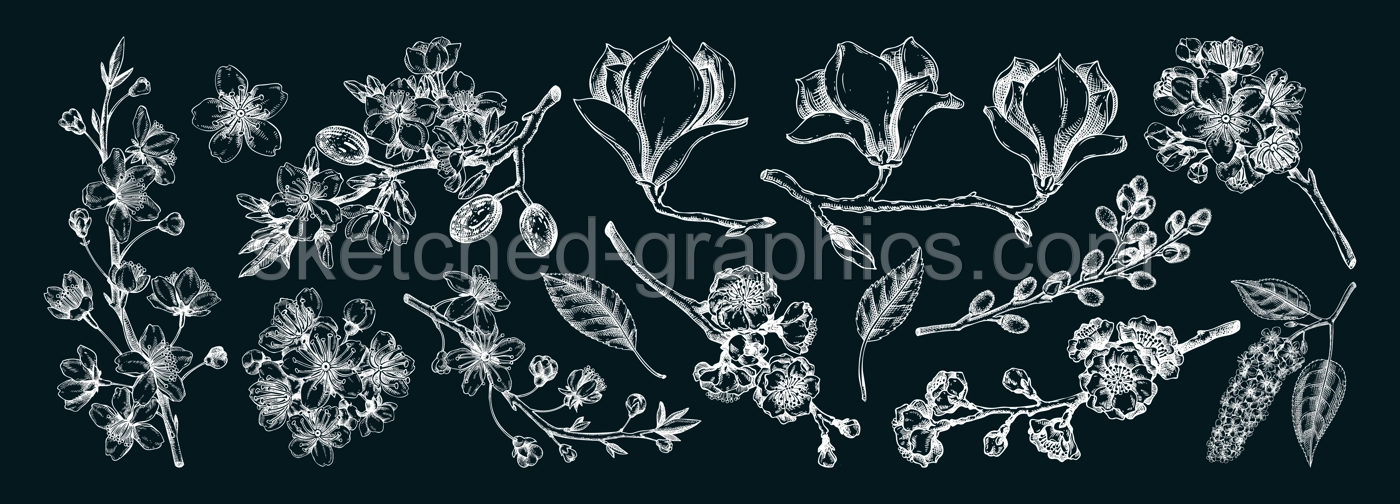 Spring blooming branches chalk drawings. Hand-drawn botanical illustrations. Floral design elements. NOT AI genereted Illustration